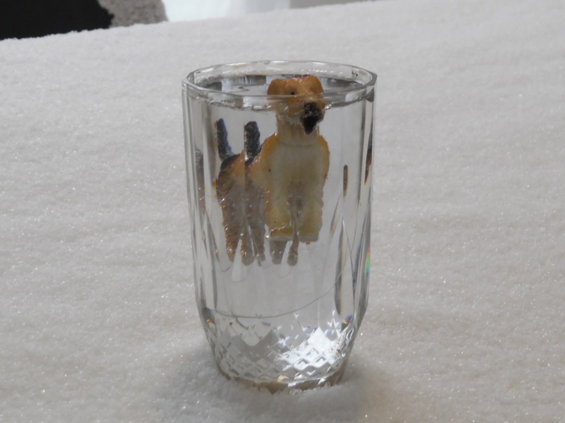 Souvenir gelé, Pierre Ardouvin