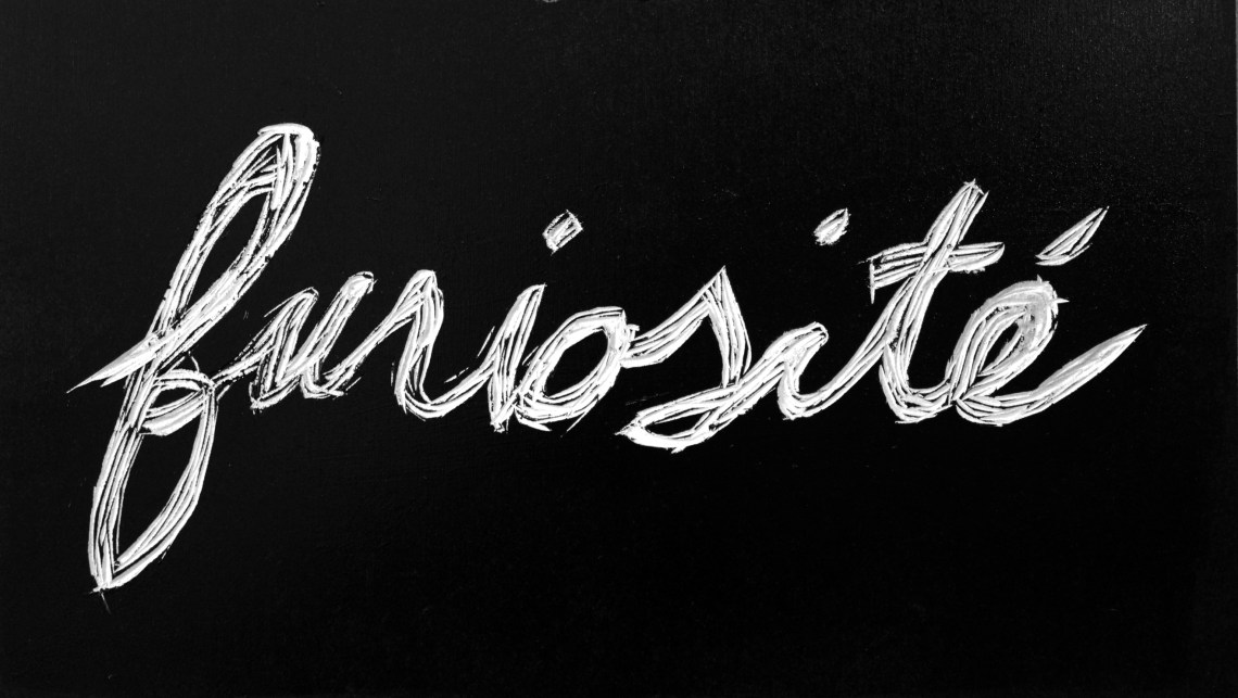 furiosité-exposition-blog
