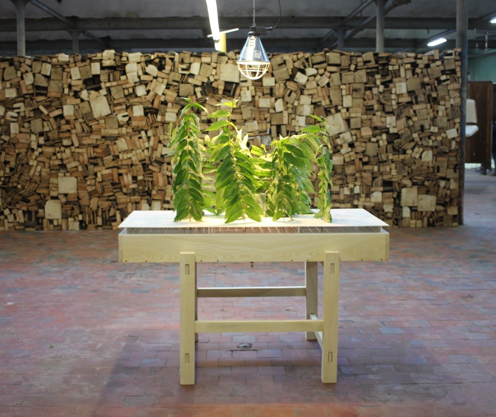 Le shed,art contemporain, Rouen