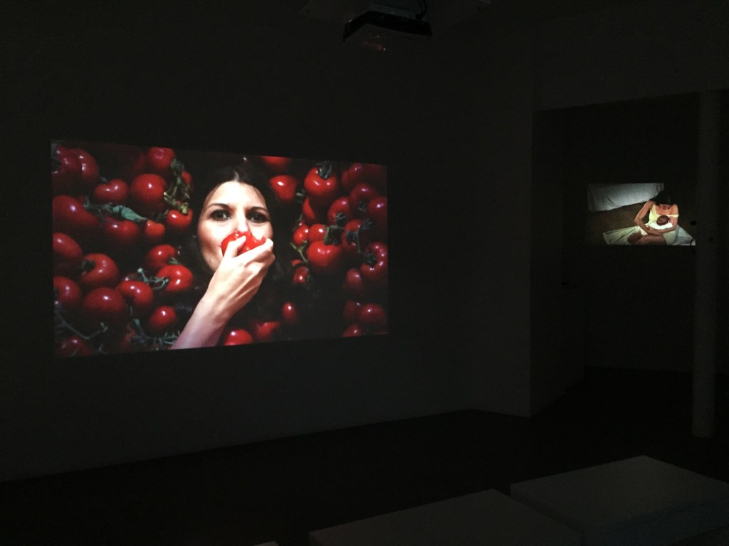 Romina-de-novellis-expo