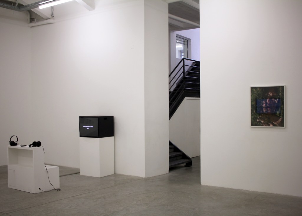 elina-brotherus-video