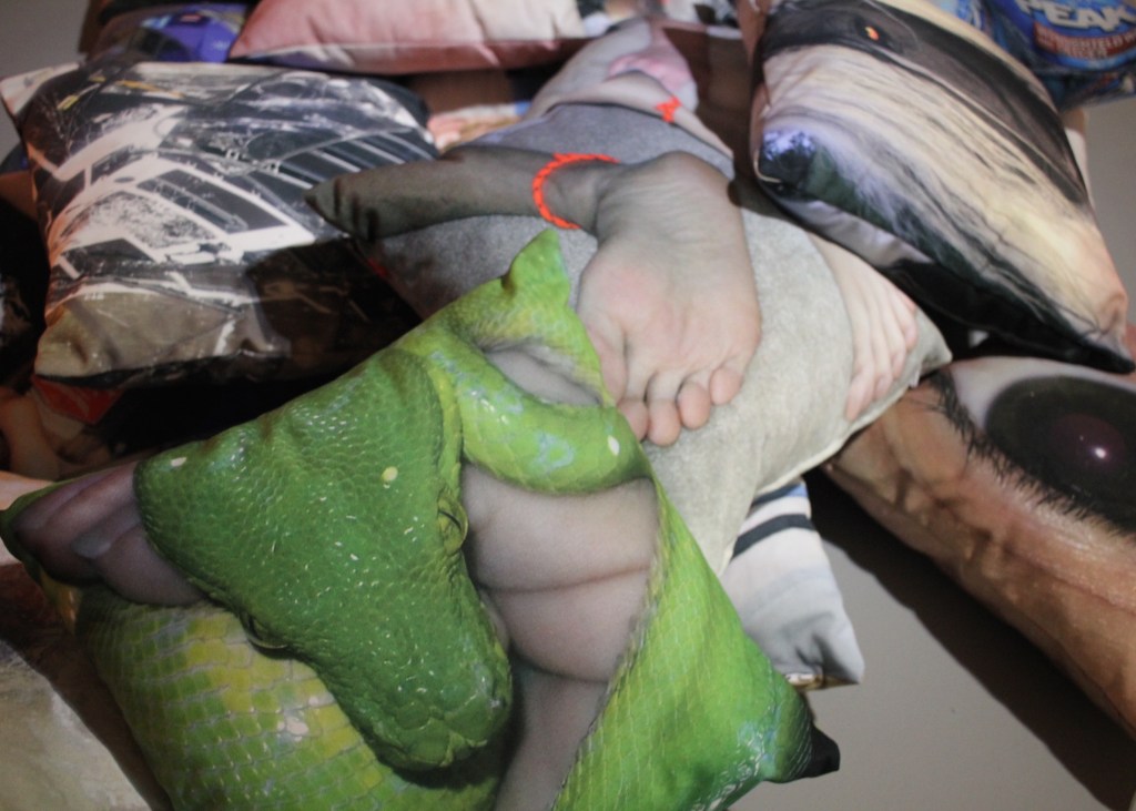 pablo-réol-ccc-tours-big-data-2016