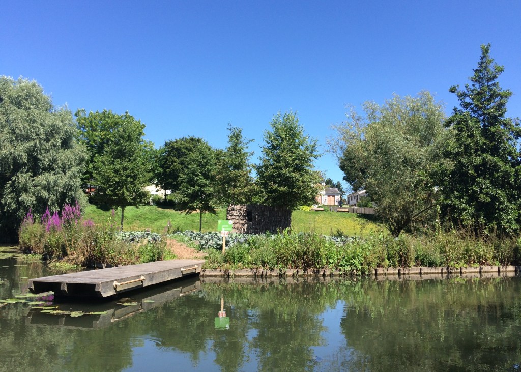 entropic-growth-hortillonages-amiens-art-2016