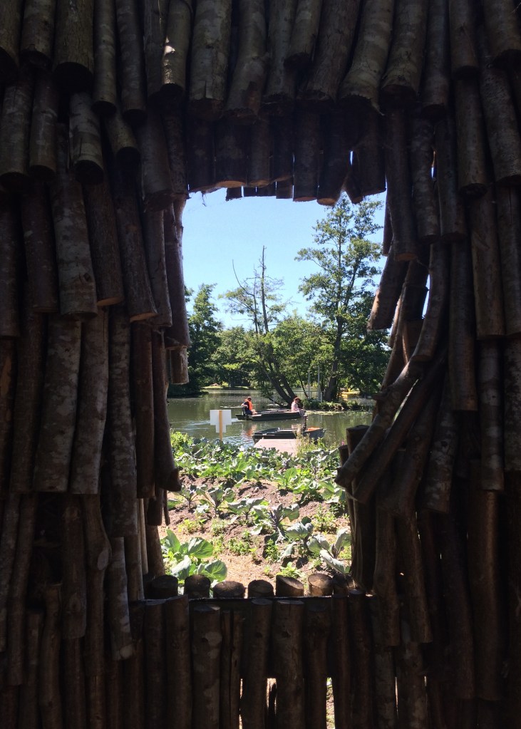 entropic-growth-hortillonages-amiens-art-2016