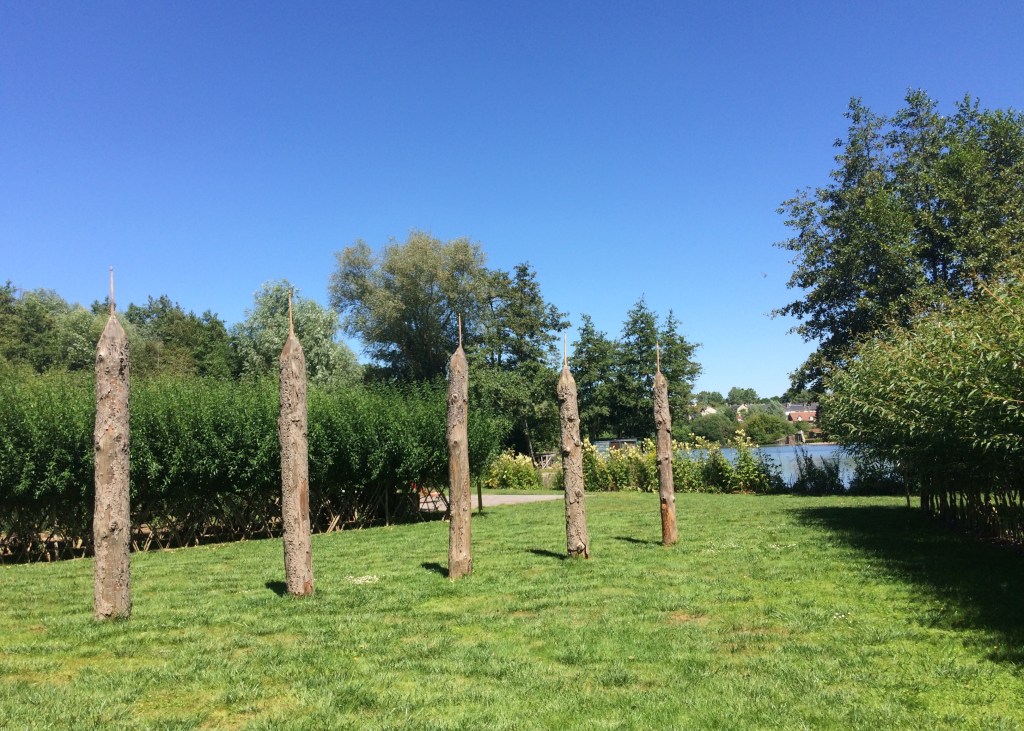 nicolas-fenouillat-hortillonages-amiens-art-2016