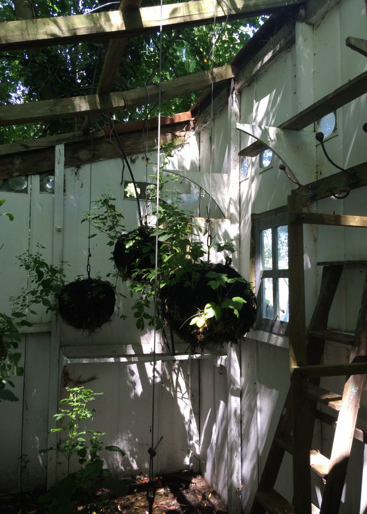 collectif-gama-hortillonages-amiens-art-2016