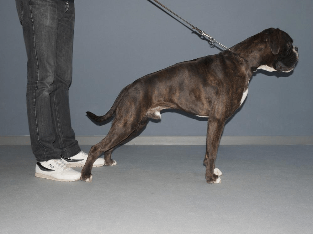 camille-holtz-early-work