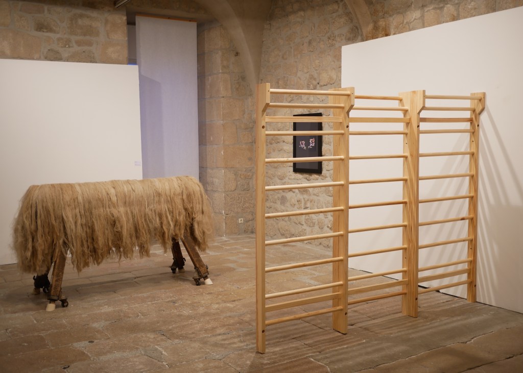 cac-meymac-sport-art